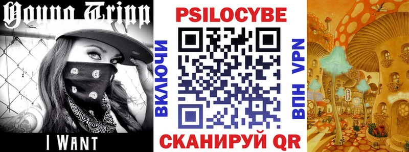 Псилоцибиновые грибы прущие грибы  Купить где  Верхняя Салда 